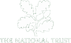 NT logo