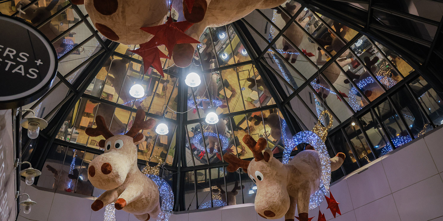 edinburgh-fife gallery_0004_Kingsgate Reigndeer Edinburgh and Fife