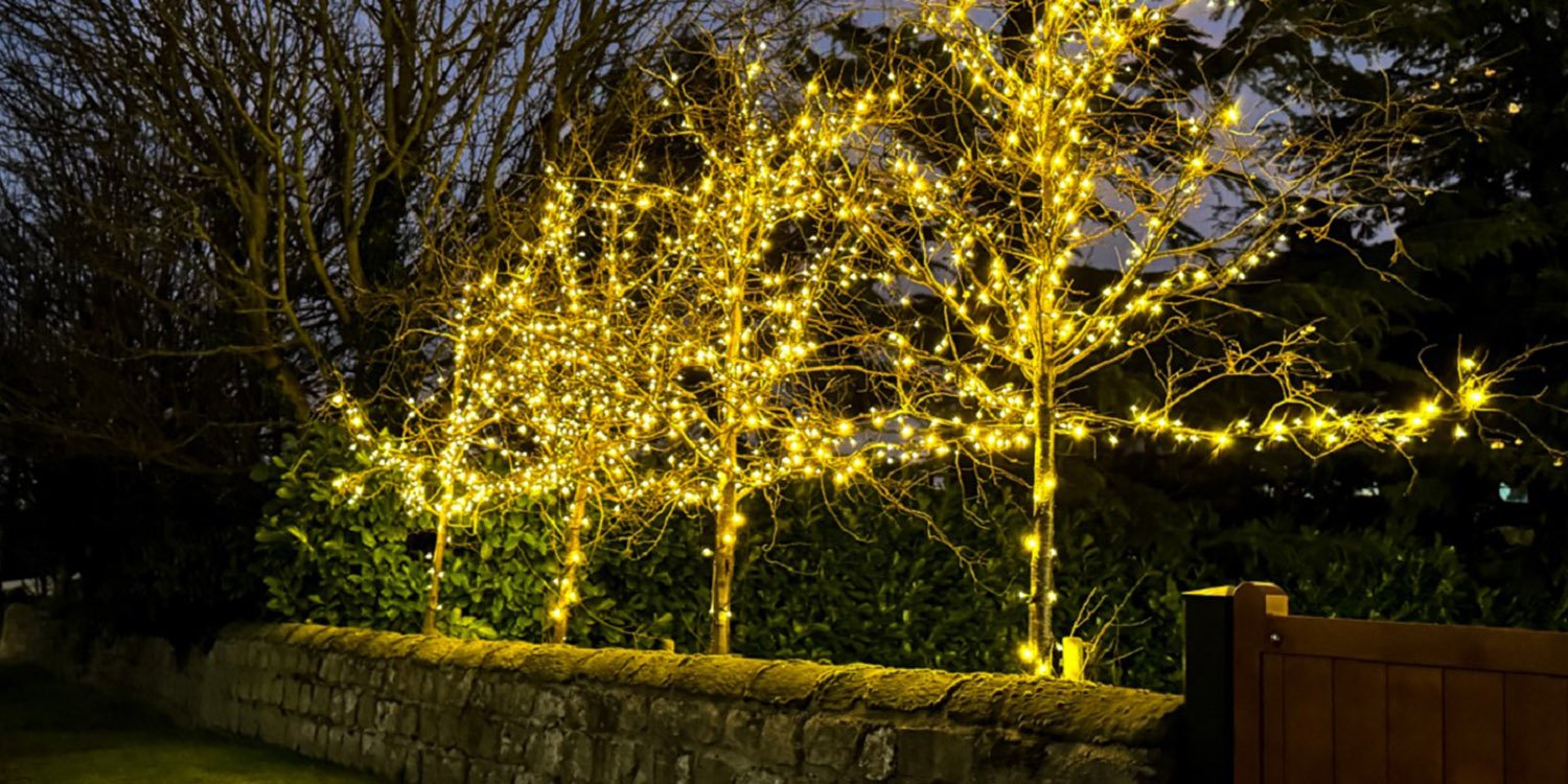 gallery_0014_DoncasterGallery1