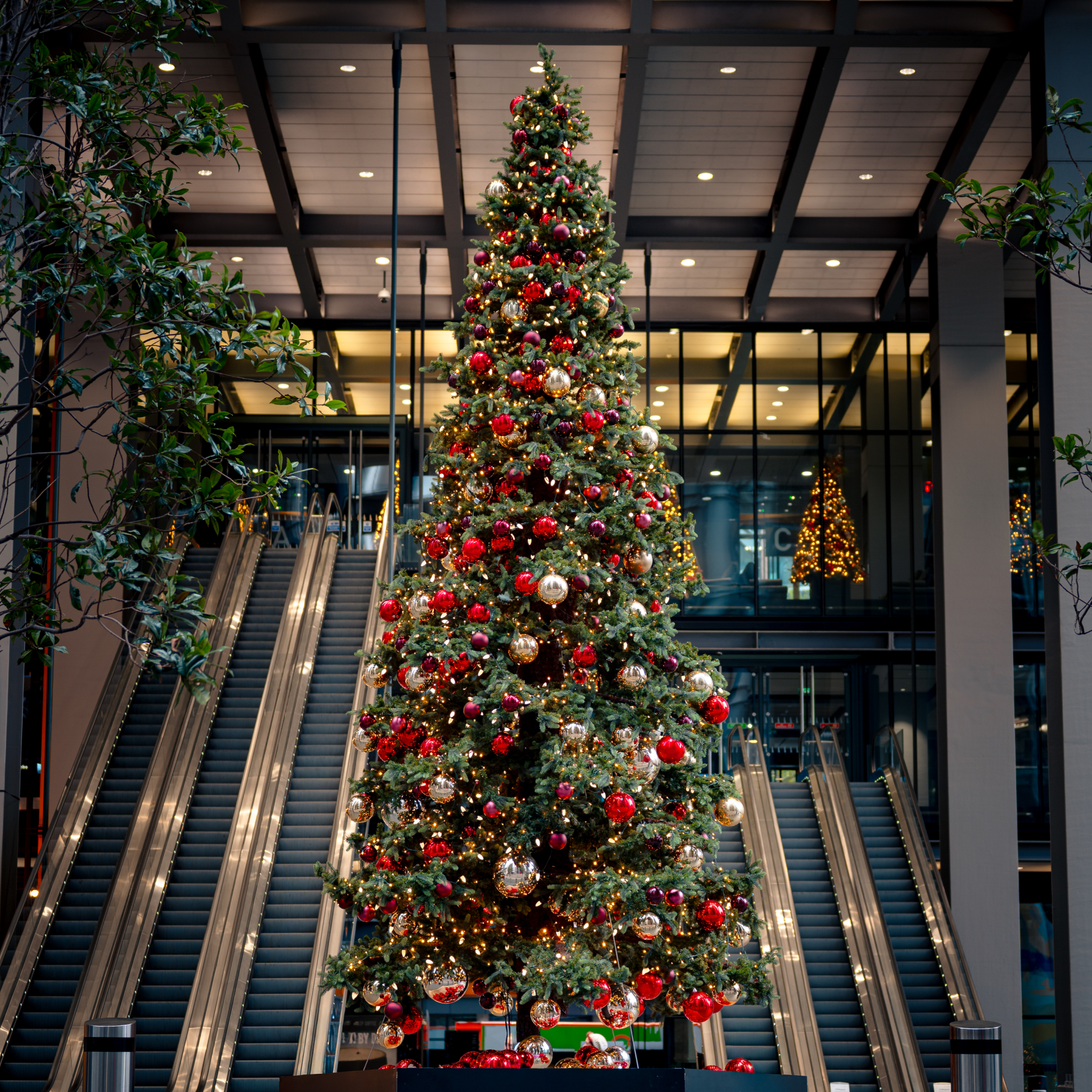 christmas decorators (5)