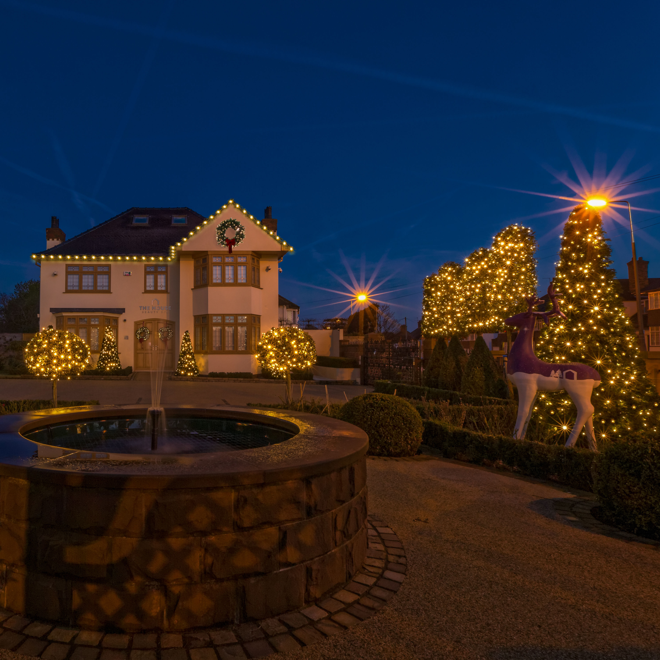 Lit Bushes and Shrubbery