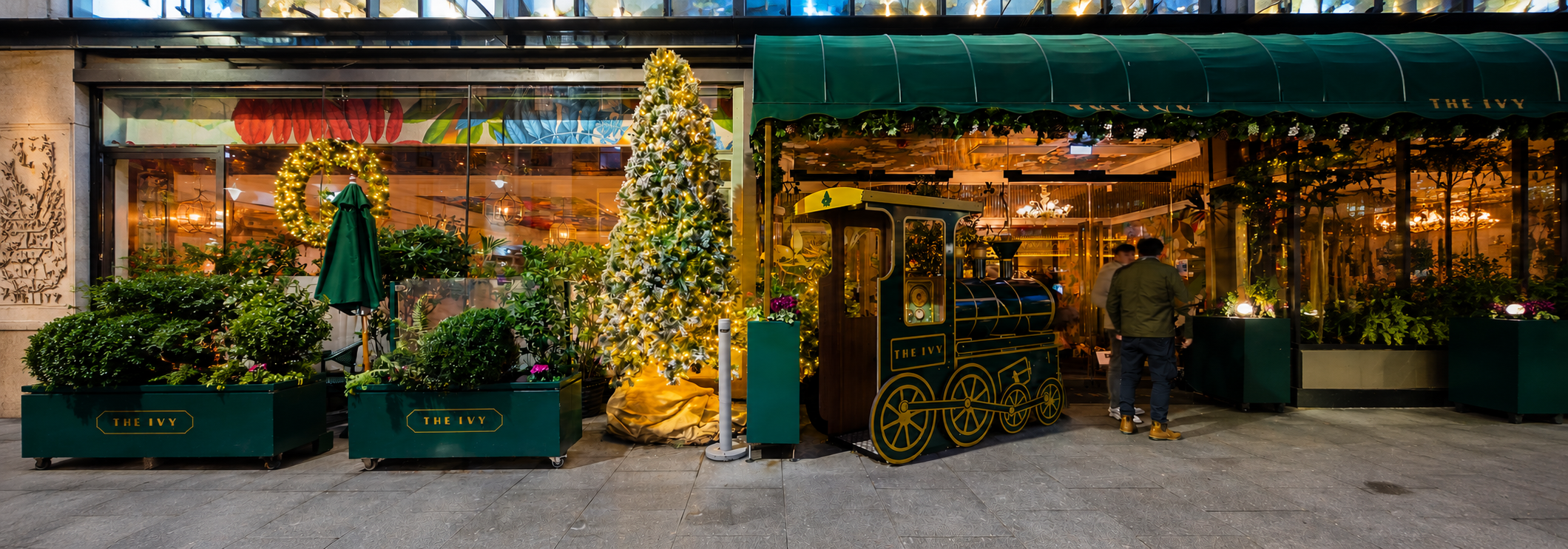 The Ivy